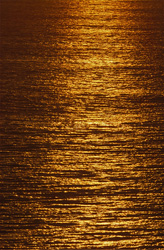Coucher de soleil romantique à la baie de Walker en Afrique du Sud