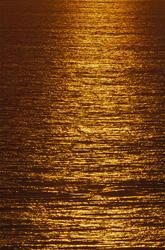 Lumière du soir magique sur la surface de la mer dans la baie de Walker, Afrique du Sud