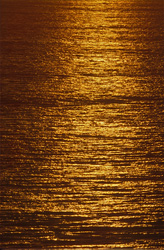Couchers de soleil uniques et observation des baleines dans la baie de Walker, Afrique du Sud