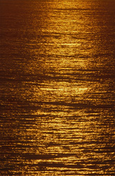 Photography of the fascinating golden sea surface at sunset in Walker Bay, South Africa
