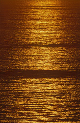 Golden sea surface at sunset in Walker Bay, South Africa