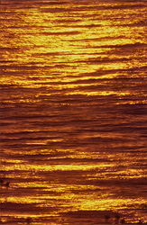 Experience the beauty of Walker Bay with a fascinating sunset