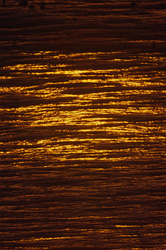 Coucher de soleil magique sur la baie de Walker en Afrique du Sud