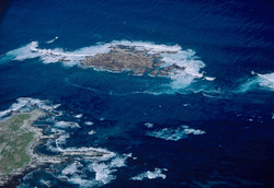 The fascinating world of Geyser Rock, Shark Alley, and Dyer Island captured from above