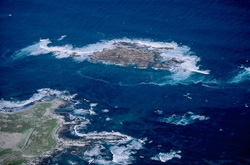 Spectacular Aerial Photograph of Dyer Island, Shark Alley, and Geyser Rock in South Africa