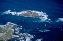 Spektakuläre Luftaufnahmen von Dyer Island, Geyser Rock und Shark Alley in Südafrika