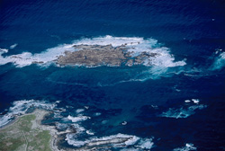 Explore Dyer Island, Shark Alley, and Geyser Rock from the sky in South Africa