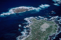 Unique aerial view of Dyer Island, Shark Alley and Geyser Rock in South Africa