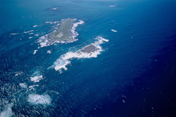 Aerial View of Dyer Island, Shark Alley, and Geyser Rock off the Coast of Kleinbaai