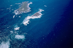 Spektakuläre Luftaufnahmen von Dyer Island, Shark Alley und Geyser Rock in Südafrika