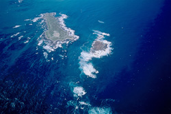 Aerial view of Dyer Island, Shark Alley, and Geyser Rock off the coast of South Africa