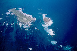 Luftbildaufnahme von Dyer Island, Shark Alley und Geyser Rock in Südafrika