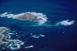 Aerial View of Dyer Island, Shark Alley and Geyser Rock - Natural Wonders off the Coast of South Africa