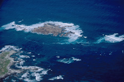 Discover the breathtaking beauty of Dyer Island, Shark Alley, and Geyser Rock in South Africa