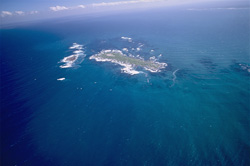Spektakuläres Luftbild von Dyer Island, Shark Alley und Geyser Rock vor der Küste von Südafrika