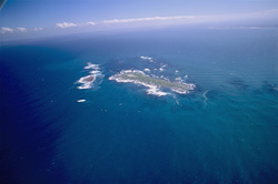 Spectacular aerial view of Dyer Island, Shark Alley and Geyser Rock in South Africa