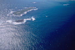 Experience the Fascinating World of Dyer Island, Shark Alley, and Geyser Rock from Above