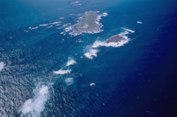 Aerial shot of Dyer Island, Shark Alley, and Geyser Rock in South Africa