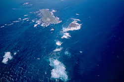 Luftaufnahme von Dyer Island, Shark Alley und Geyser Rock in Südafrika