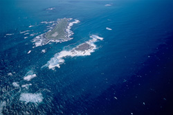 The fascinating islands of Dyer Island, Shark Alley and Geyser Rock in South Africa