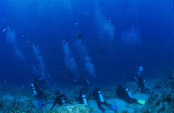 Divers position themselves at Shark Reef, anticipating the majestic appearance of sharks