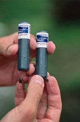 Progetto di ricerca sulla marcatura degli squali toro con trasmettitori acustici nella laguna di Beqa