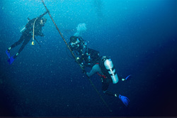 Fascinating shark migration study using VEMCO VR2 receiver in Beqa Lagoon, Fiji