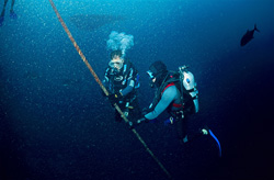 Dr. Juerg Brunnschweiler and a helper assemble just a VEMCO VR2 underwater receiver on a thick rope buoys. Later, the receiver is again recovered and analyzed.