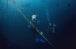 Researcher Dr. Juerg Brunnschweiler monitoring the movement of bull sharks in Fiji