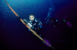 Biologist Dr. Juerg Brunnschweiler mounting VEMCO VR2 receiver at Shark Fin Reef in Beqa Lagoon, Fiji