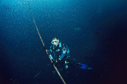Dr. Juerg Brunnschweiler checks a Vemco VR2 receiver underwater at the Shark Reef
