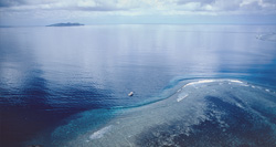 Captivating aerial shot of Shark Reef in Beqa Lagoon with dive boat and shark species