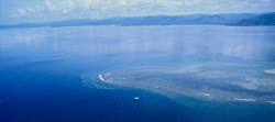 The Shark Reef in the Beqa Lagoon in Fiji is a very interesting dive site. Regularly are up to eight shark species found here.