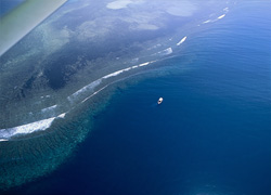 A breathtaking aerial view of Shark Reef in Beqa Lagoon showcasing a variety of shark species