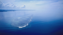 An intriguing Bull Shark research project at Shark Reef in Beqa Lagoon, Fiji, captured from a bird's eye view