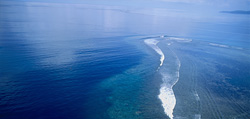 The Shark Reef in Beqa Lagoon, Fiji - A Paradise for Divers and Marine Biologists