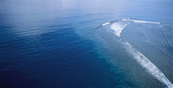 Unique aerial photography of Shark Reef in the Beqa Lagoon in Fiji