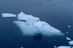 Explore the Fascinating Ice Landscape at Cape Anne in Canada