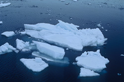 At Cape Anne: Sea ice drifting in the sea loaded with fantastic fragments.