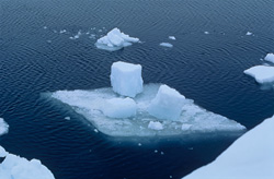 Small ice floes in the sea off Cape Anne loaded with fantastic fragments floating by