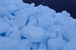 Fascinating Arctic Sea Ice on the Coast of Cape Anne in Canada