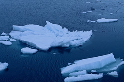 Paisaje fascinante de icebergs en el Cabo Anne en Canadá