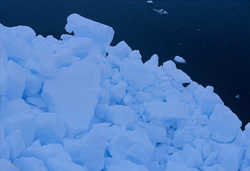 Experience the Beauty of Pack Ice in Cape Anne, Canada