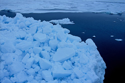 Discover the fascinating pack ice landscape at Cape Anne in Canada