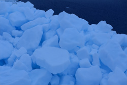 Majestic Pack ice Wonderland at Cape Anne with Beluga Whales