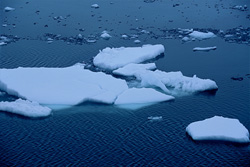Experience the majestic sea ice at Cape Anne in Canada