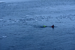 A diver explores the mysterious underwater world of the Arctic