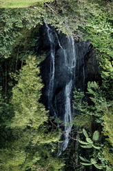 Fascinating Waterfall in the Rainforest of Fiji - Discover the Beauty of Nature