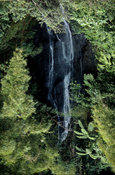 Discover the Fascination of a Waterfall in the Fiji Rainforest
