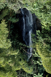 Picturesque waterfall in the lush jungle of Viti Levu, Fiji